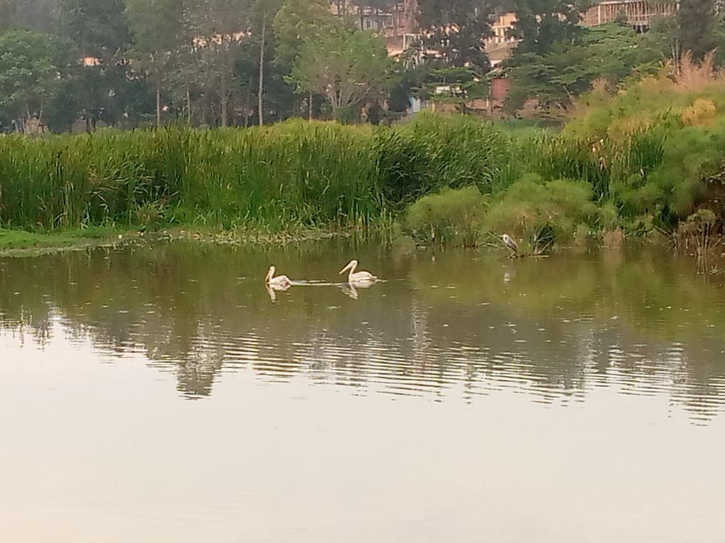 Abahumanya ibishanga by’i Kigali barasabirwa ibihano